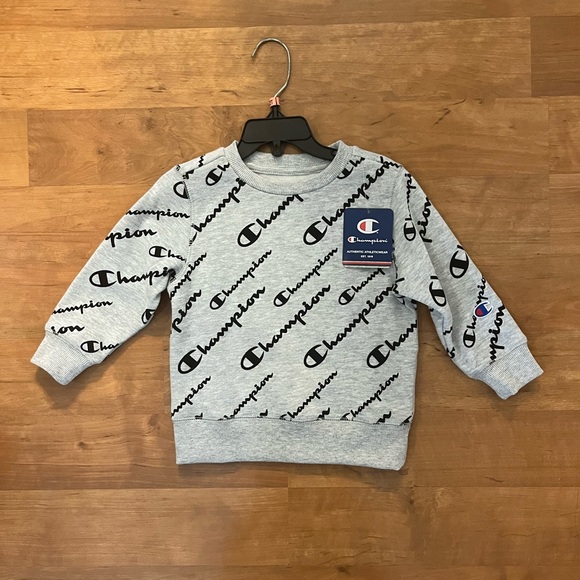 Champion Other - NWT 2T Champion Gray Logo Sweatshirt Crew Neck Long Sleeve